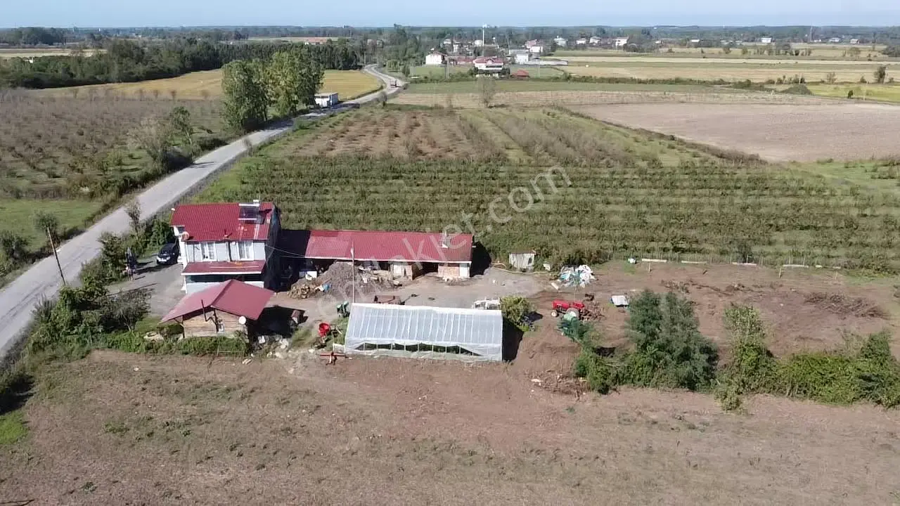 Doğayla İç İçe, Tüm Altyapısı Hazır Çiftlik Evi | 8.627 M² Arazi - Görsel 4