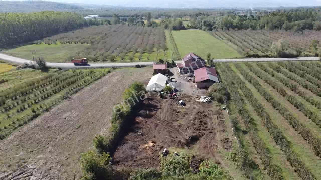 Doğayla İç İçe, Tüm Altyapısı Hazır Çiftlik Evi | 8.627 M² Arazi - Görsel 2