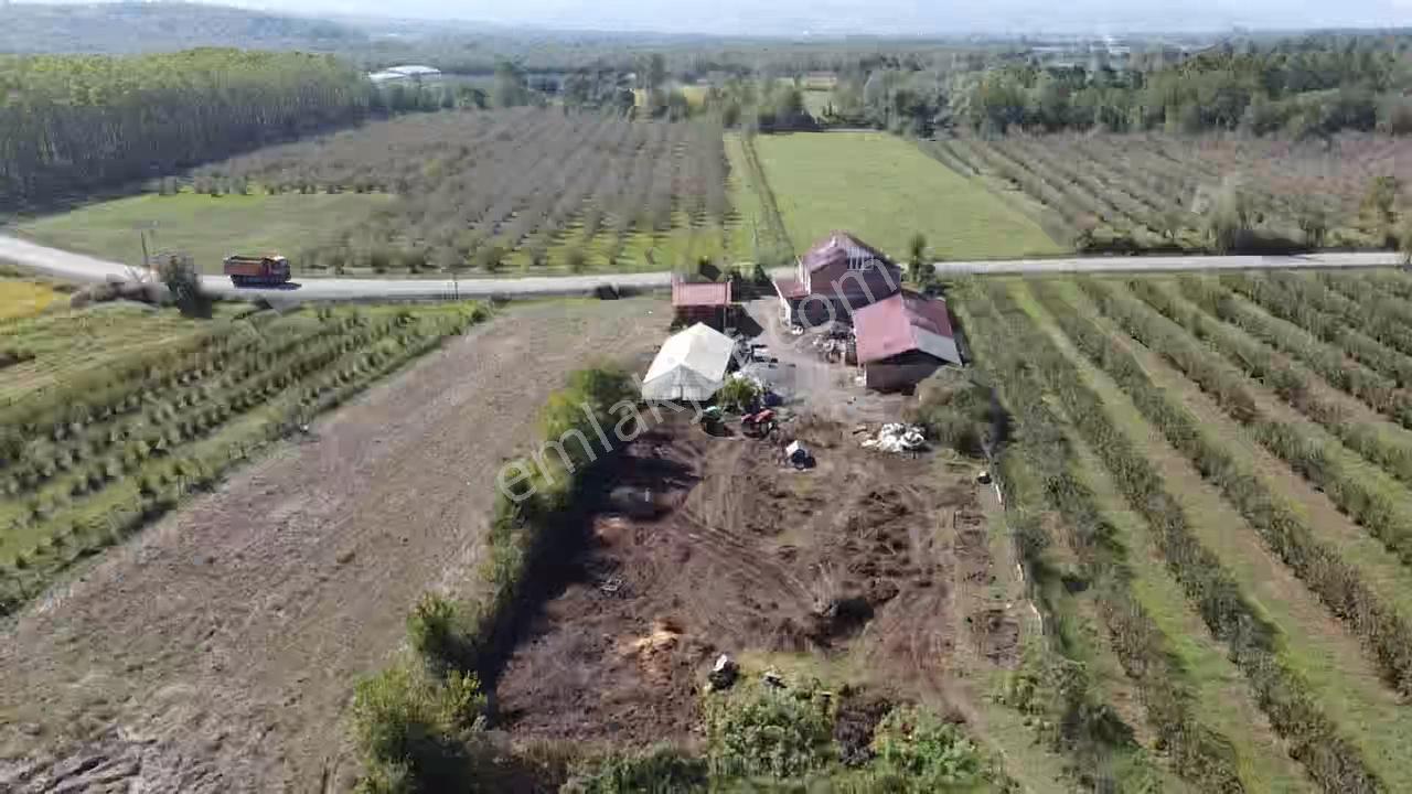 Doğayla İç İçe, Tüm Altyapısı Hazır Çiftlik Evi | 8.627 M² Arazi - Görsel 3