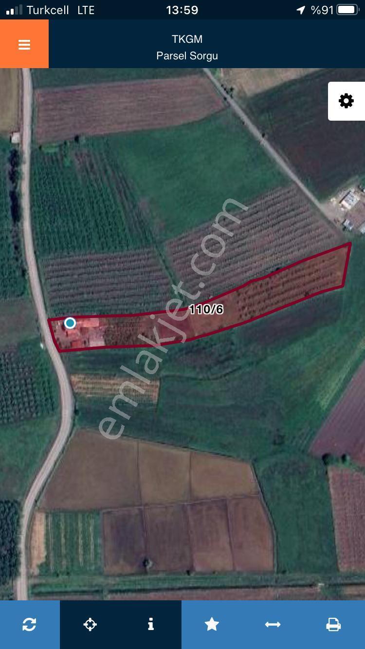 Doğayla İç İçe, Tüm Altyapısı Hazır Çiftlik Evi | 8.627 M² Arazi - Görsel 7