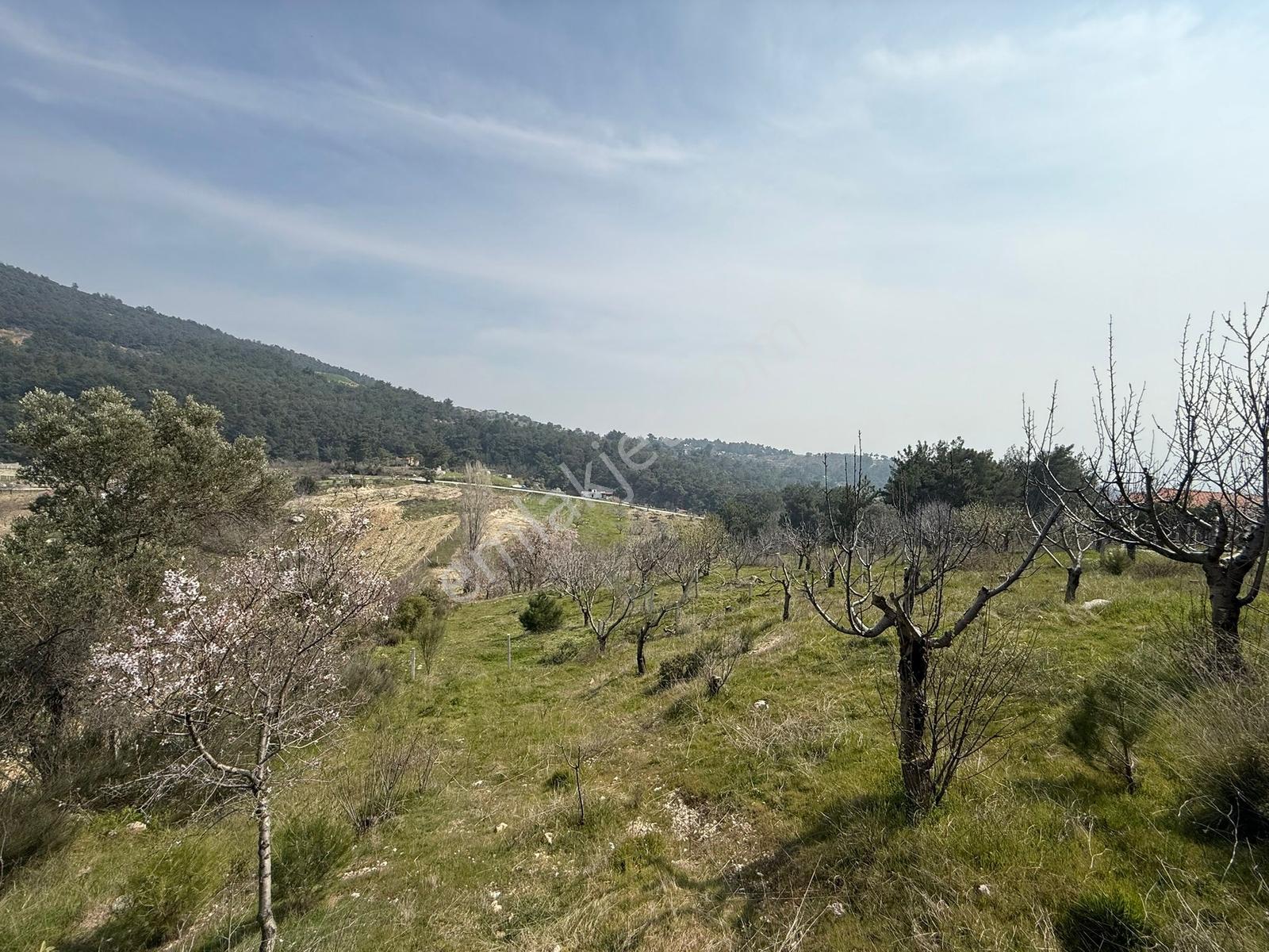 Bornova Yakaköy'de 1046 M2 Satılık Tarla - Görsel 13