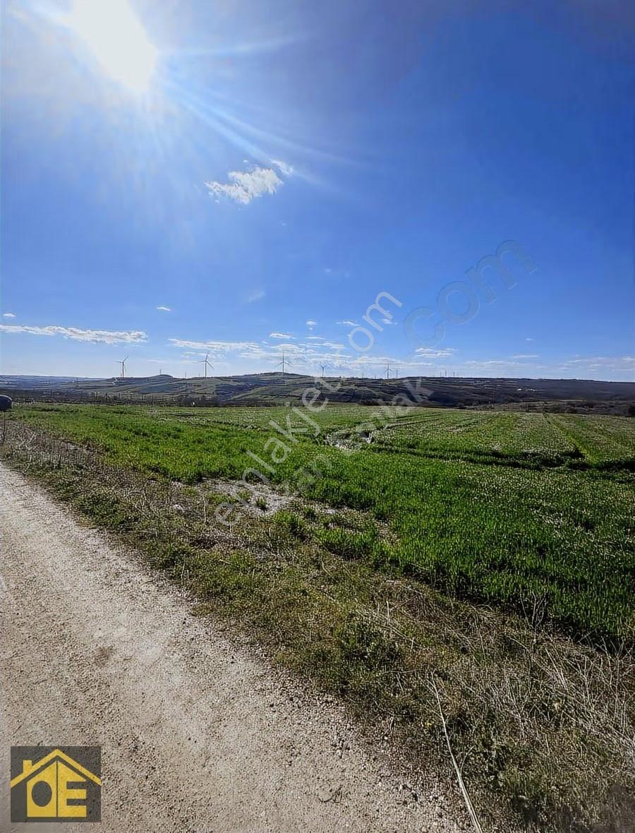 Silivride Değerlenen Bölge: 13.000 M² Yola Cephe - Görsel 5