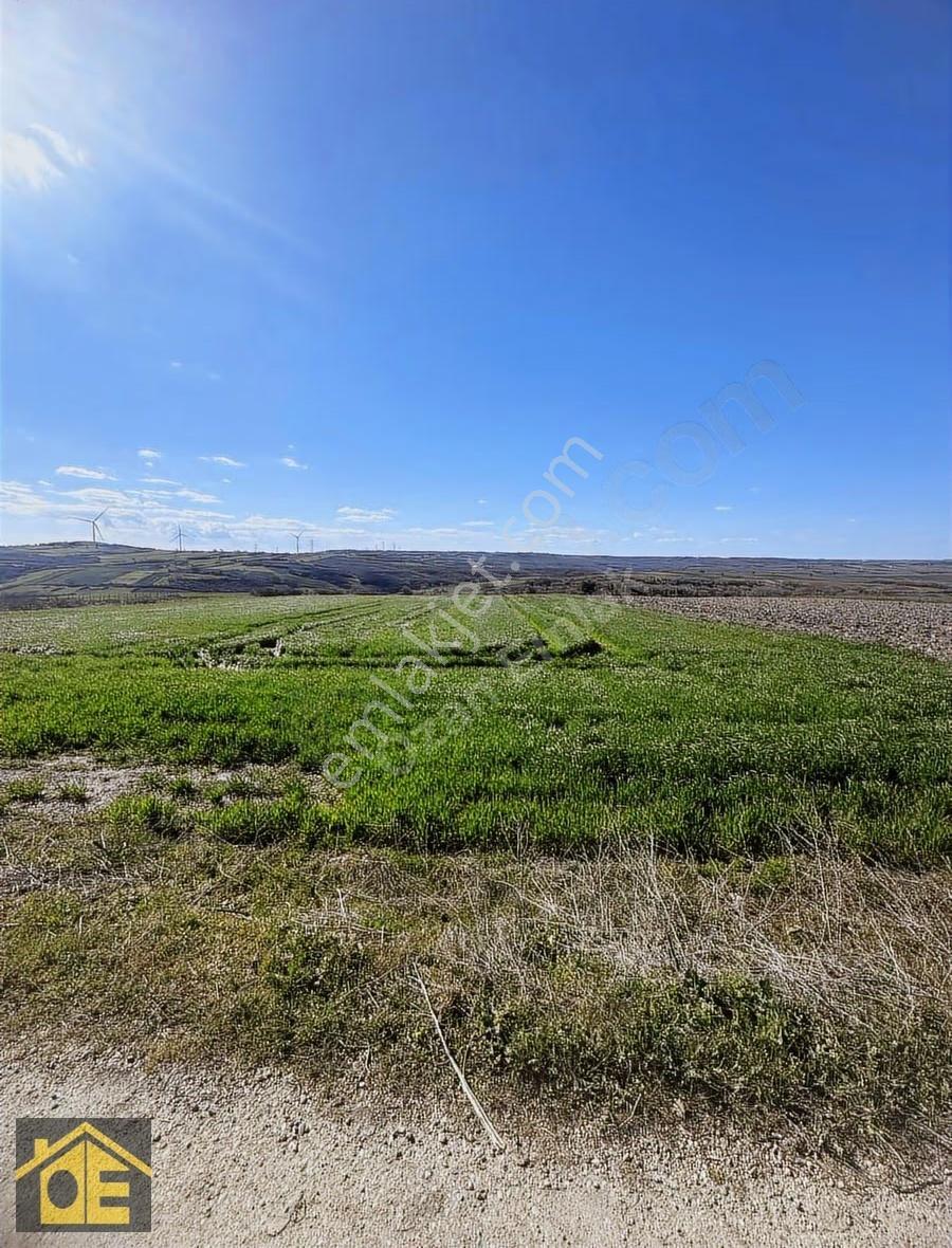 Silivride Değerlenen Bölge: 13.000 M² Yola Cephe - Görsel 3