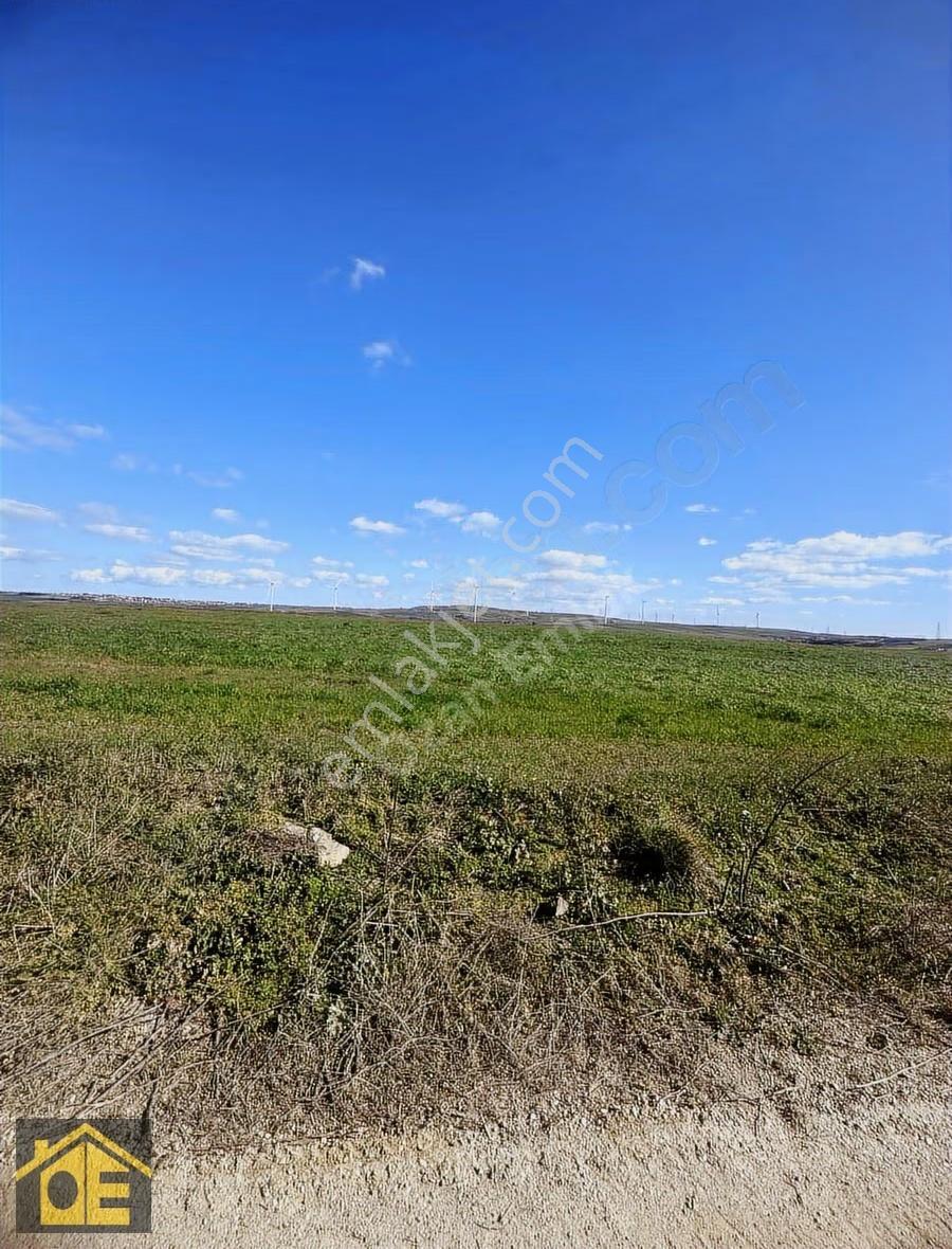 Silivride Değerlenen Bölge: 13.000 M² Yola Cephe - Görsel 9