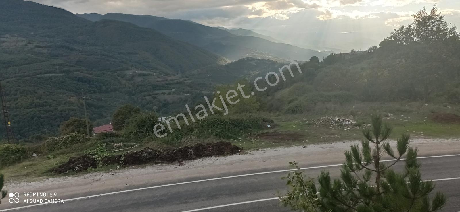 Bolu Taşkesti Bölgesine Asfalt Kenarındas Satılık Bahçe - Görsel 7