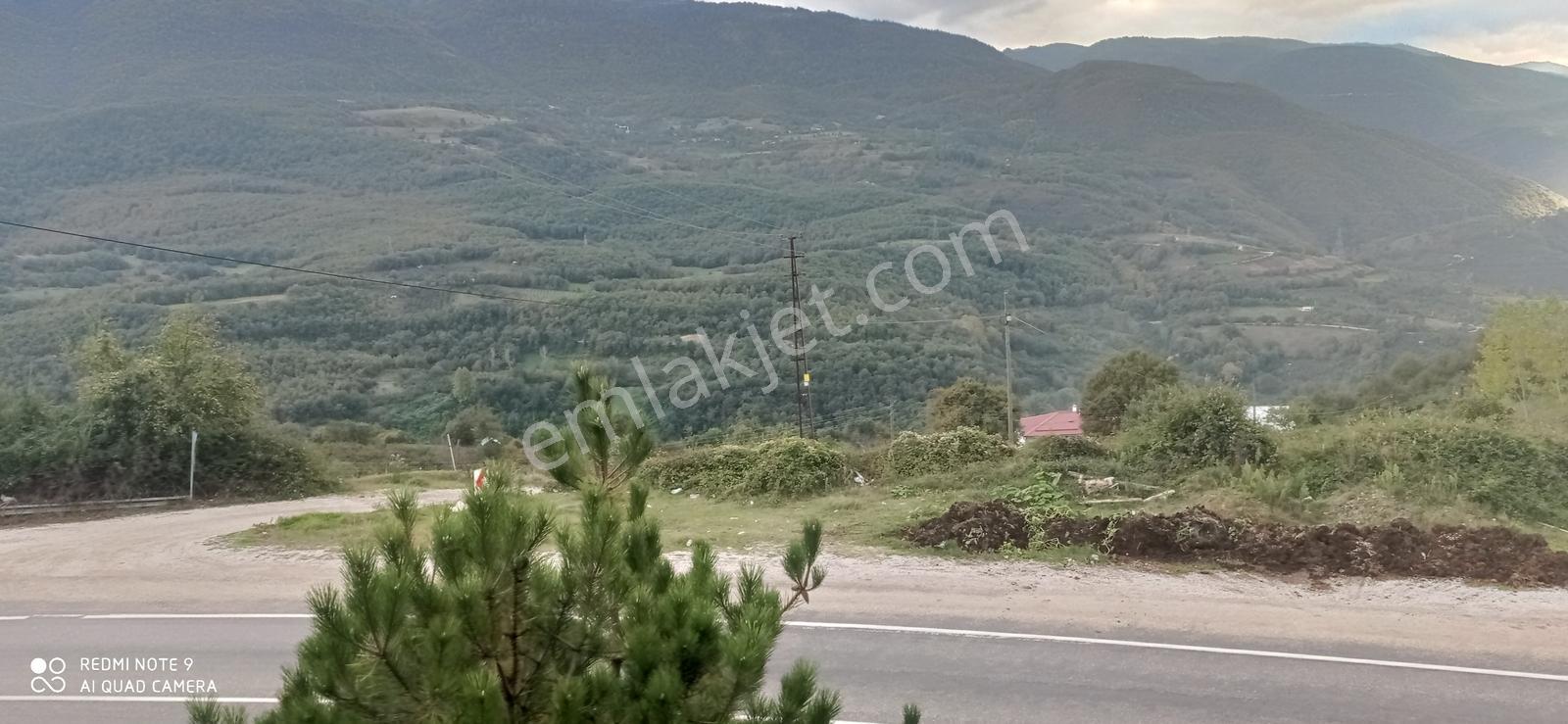 Bolu Taşkesti Bölgesine Asfalt Kenarındas Satılık Bahçe - Görsel 6