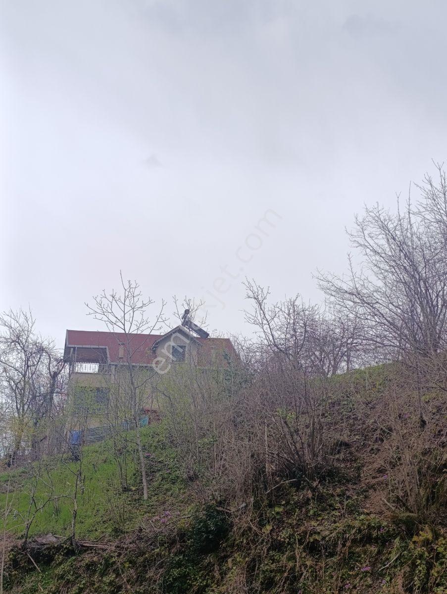 Zeybek*den 4.239.m2 Satilik Findik.bahcesi İnebolu Yaztepe Köyü - Görsel 7