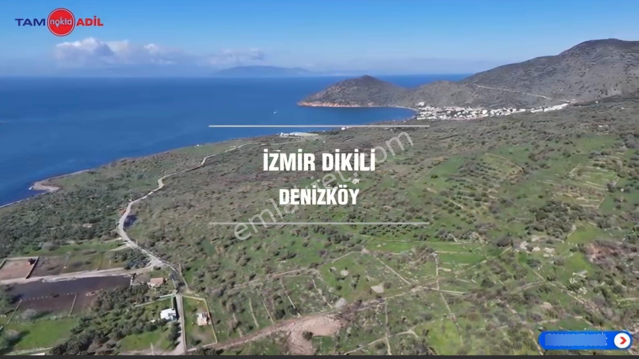 Denizköy'de Denize Yakın Konumda Yatırımlık Zeytinli Tarla - Görsel 2