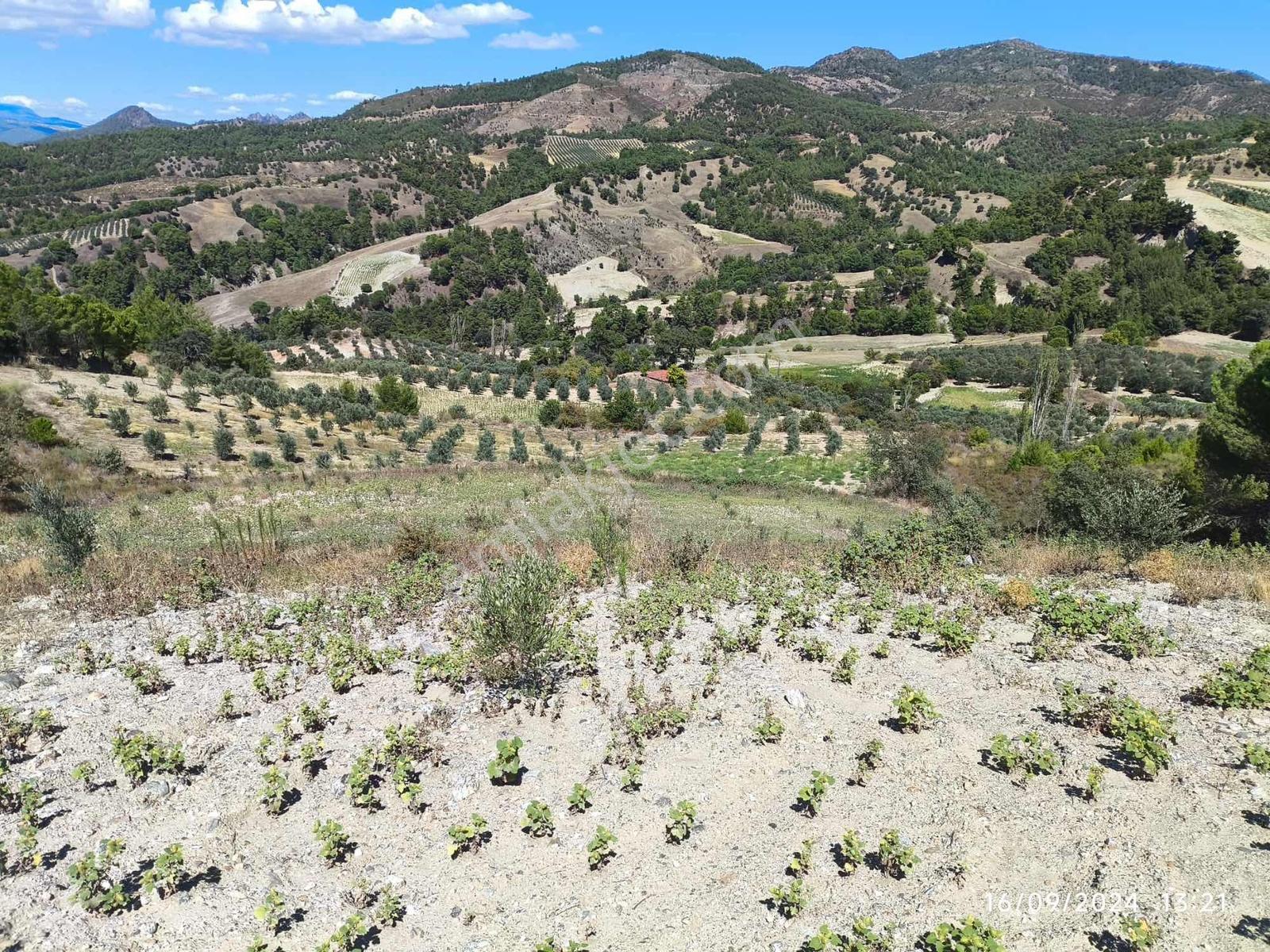 Manisa Gördeste Yatırımlık Uygun Fiyatlı 4.033m2 Satılık Tarla