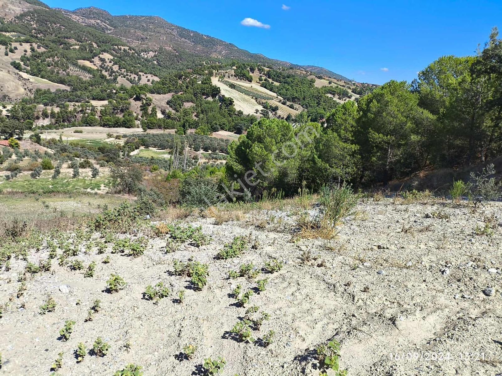 Manisa Gördeste Yatırımlık Uygun Fiyatlı 4.033m2 Satılık Tarla - Görsel 7