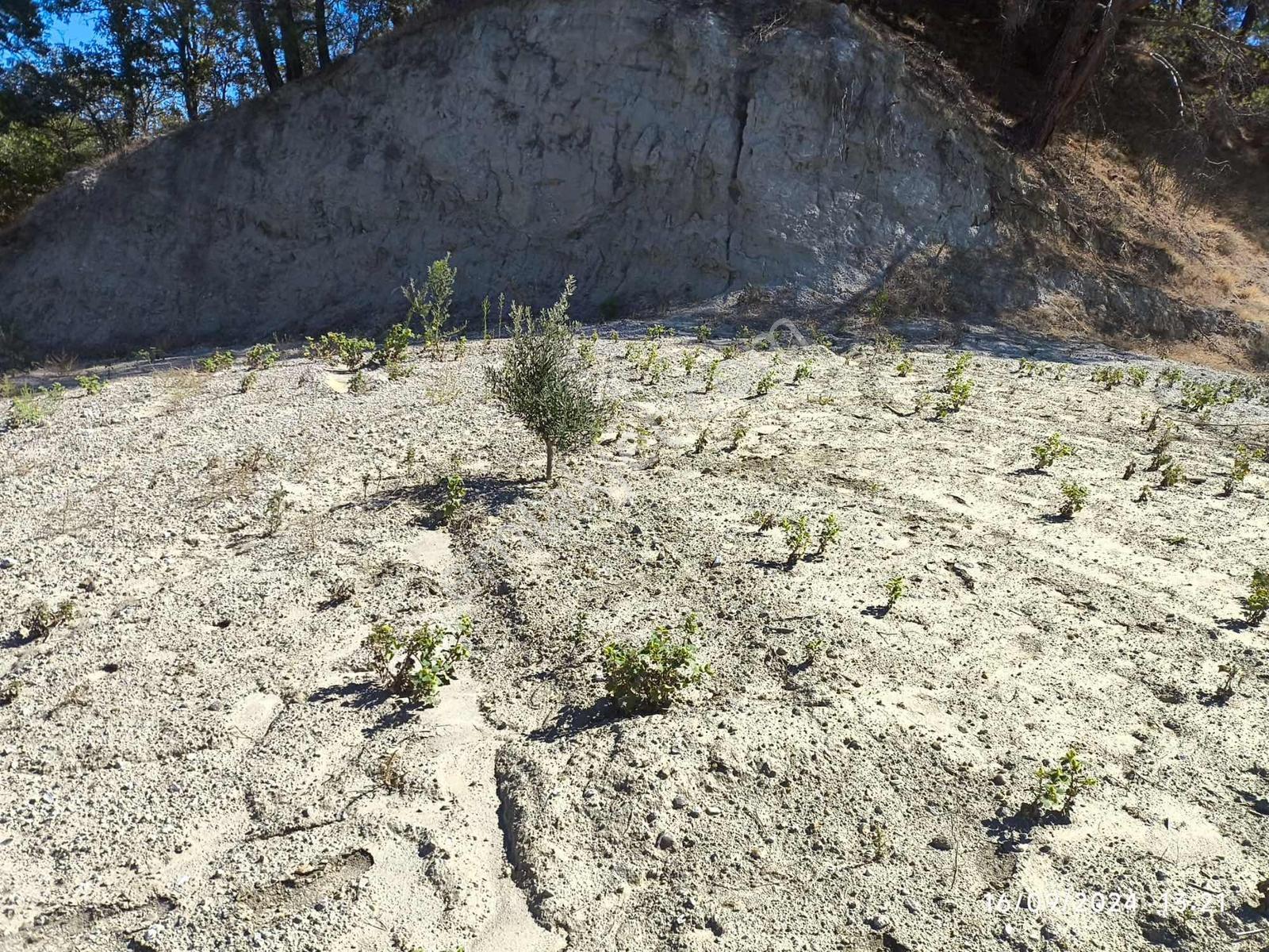 Manisa Gördeste Yatırımlık Uygun Fiyatlı 4.033m2 Satılık Tarla - Görsel 6