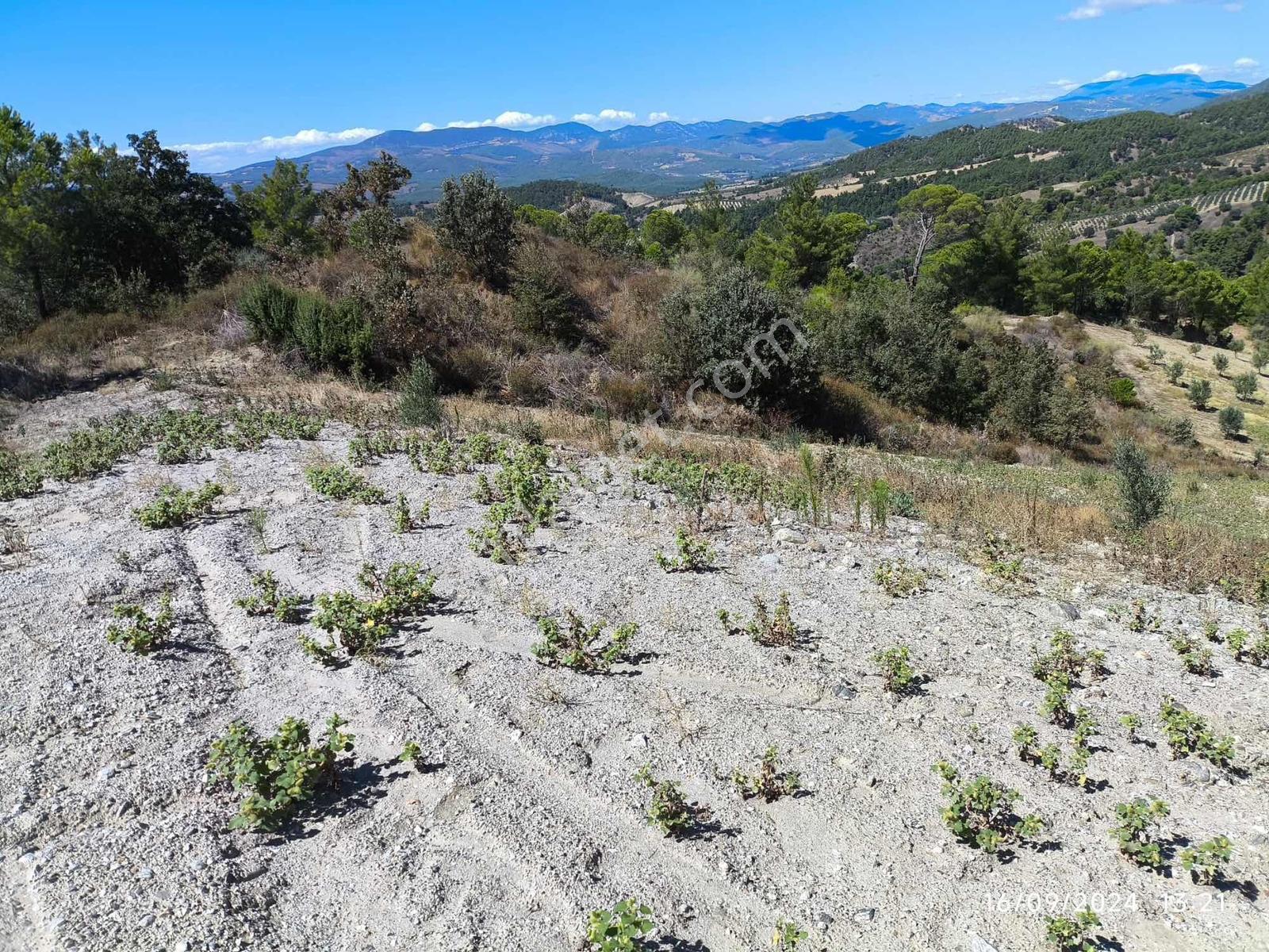 Manisa Gördeste Yatırımlık Uygun Fiyatlı 4.033m2 Satılık Tarla - Görsel 10