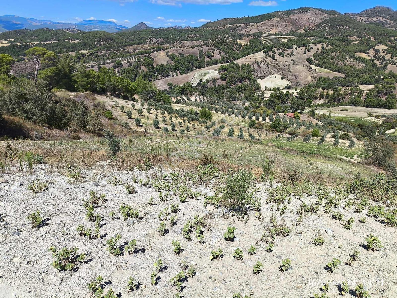 Manisa Gördeste Yatırımlık Uygun Fiyatlı 4.033m2 Satılık Tarla - Görsel 11