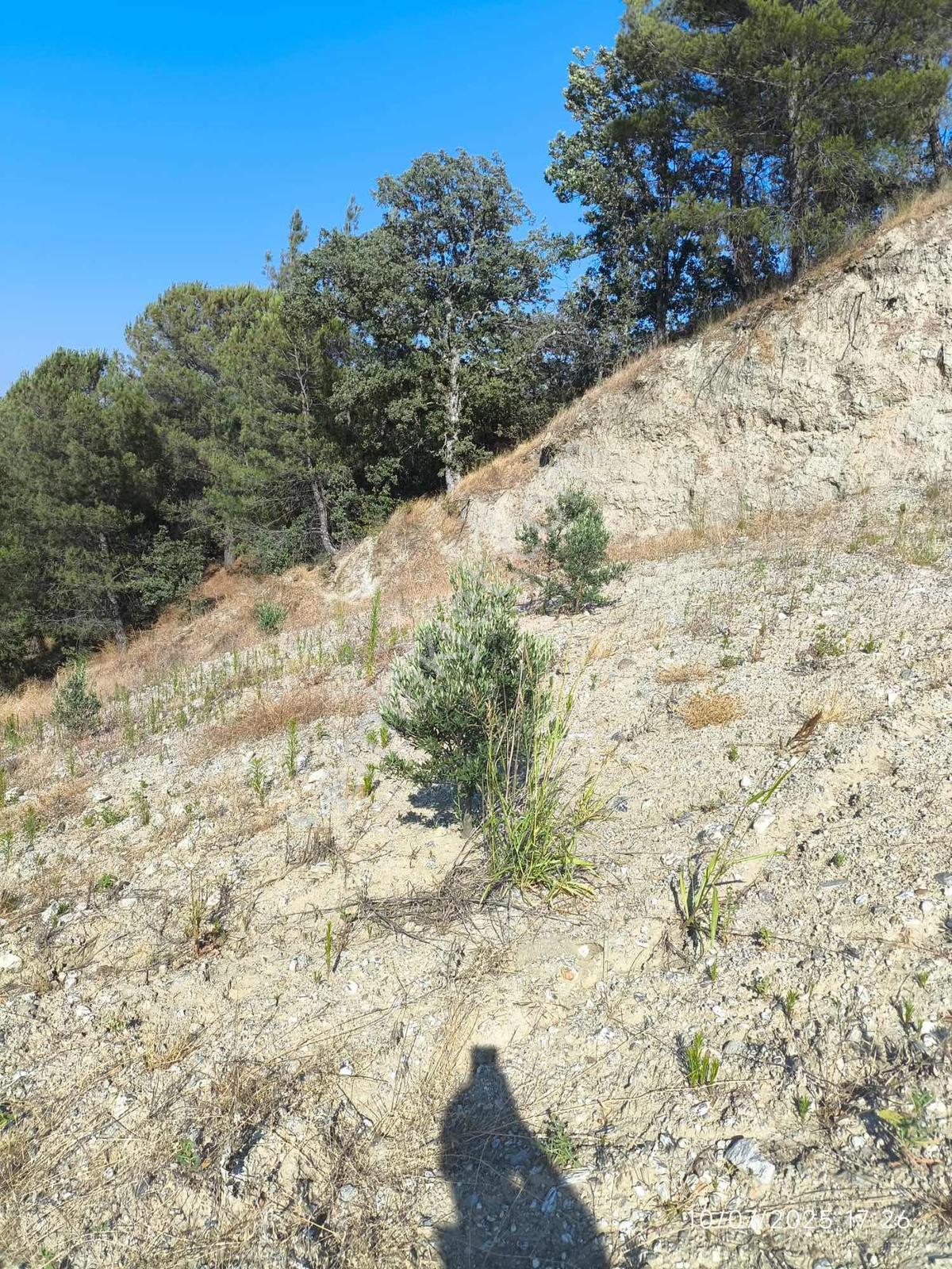 Manisa Gördeste Yatırımlık Uygun Fiyatlı 4.033m2 Satılık Tarla - Görsel 9