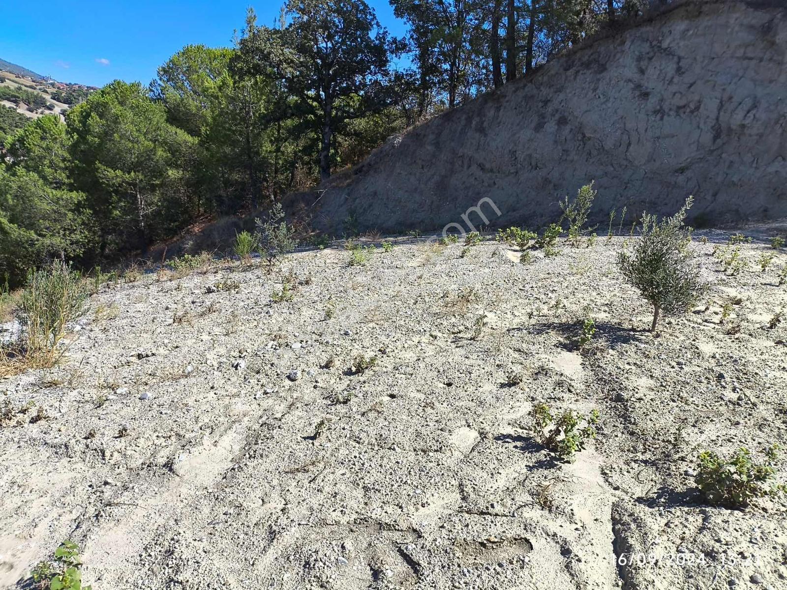 Manisa Gördeste Yatırımlık Uygun Fiyatlı 4.033m2 Satılık Tarla - Görsel 5