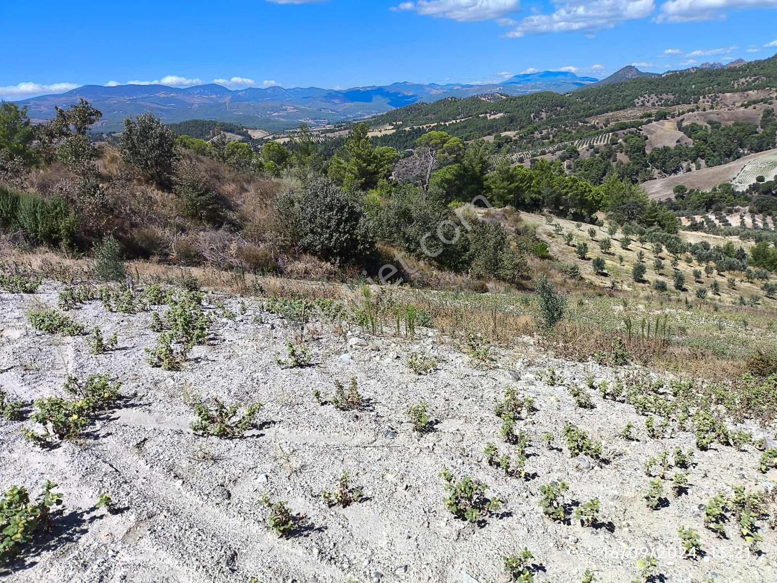 Manisa Gördeste Yatırımlık Uygun Fiyatlı 4.033m2 Satılık Tarla - Görsel 3