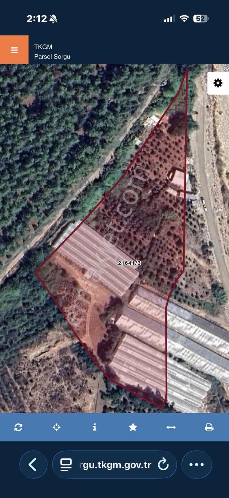 Acil Fiyat! Konyaaltı Aşağıkaramanda Satılık Portakal Bahçesi - Görsel 2