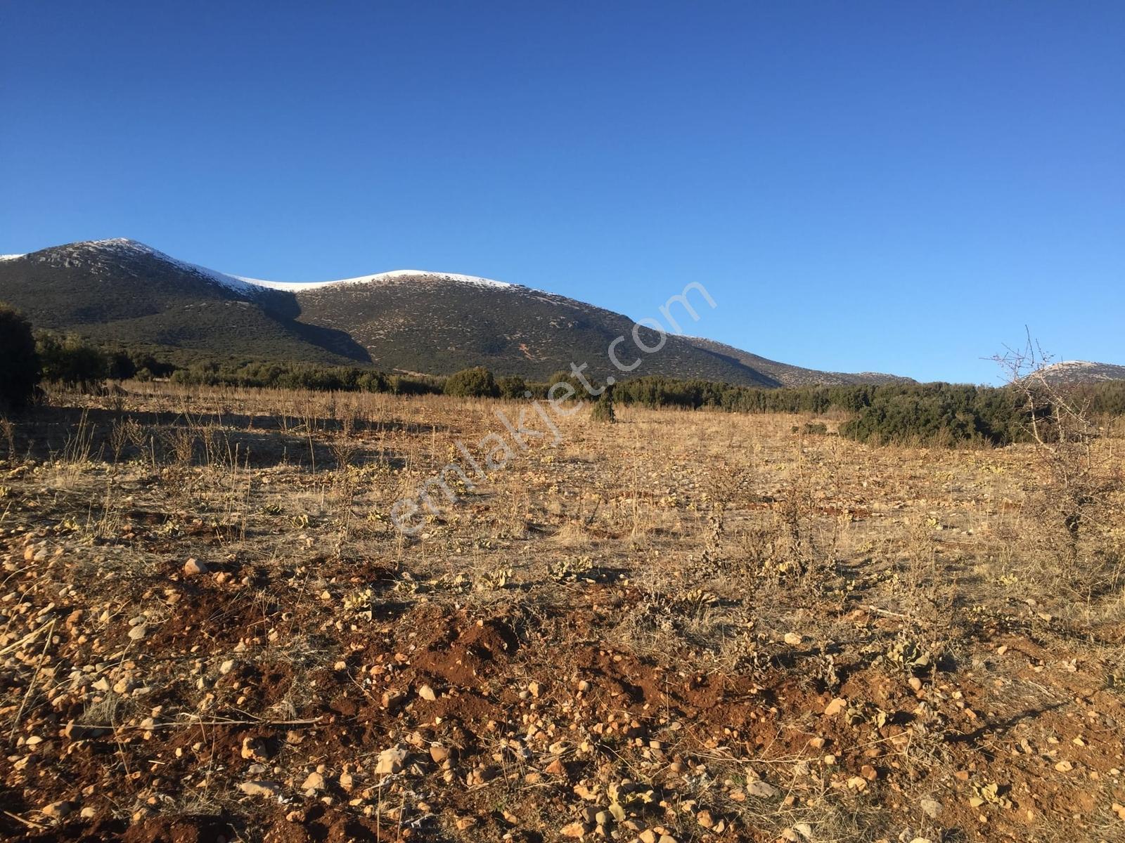 Uygun Fiyat Yatırımlık Fırsat 3100m2 Satılık Tarla