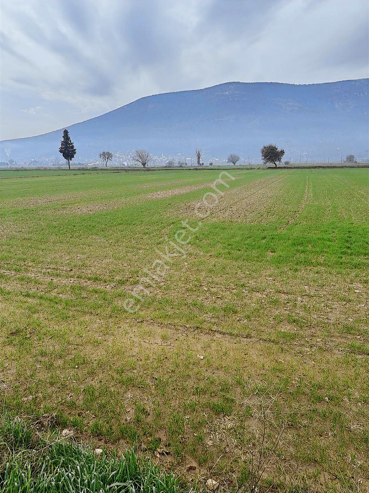Akbaşlar'dan Kıyıkışlacığa 20 Dk Mesafede Yola Sıfır Tarla - Görsel 2