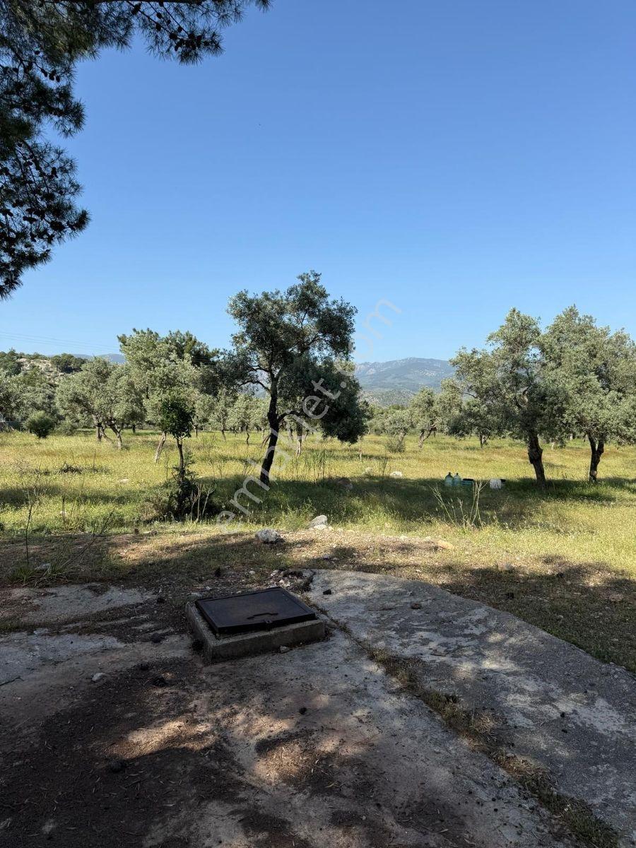 Muğla Milas 15 Dönüm Çift Cephe Asfaltda - Görsel 9