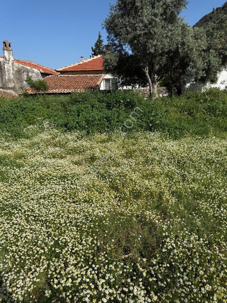 Muğla Milas 15 Dönüm Çift Cephe Asfaltda - Görsel 3