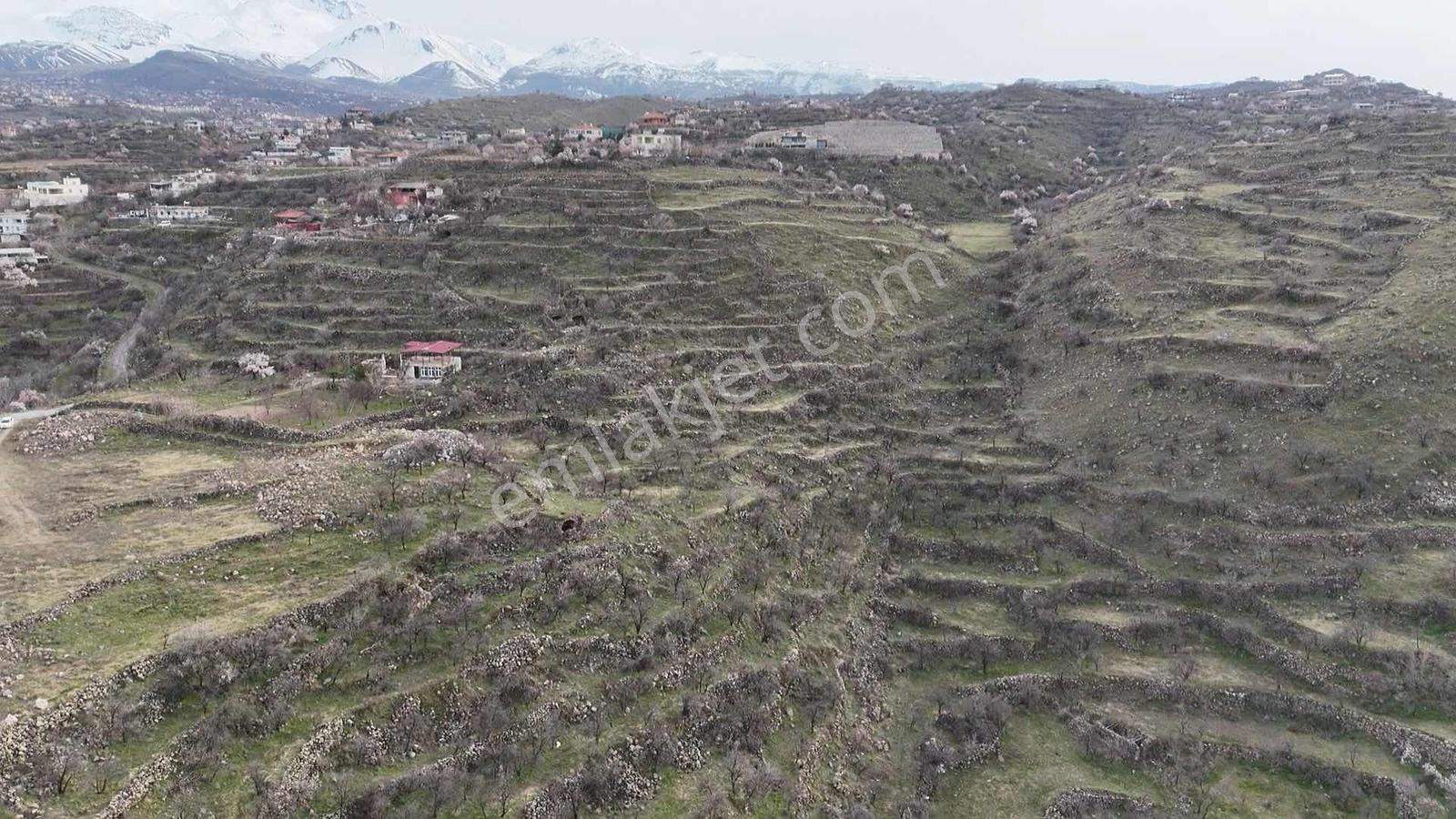 Hacılar Akyazı Mahallesi Tek Tapu 23.360 M2