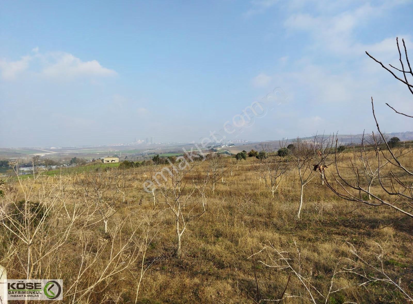 Büyükçekmece Merkez Mah. Satılık 5270 M2 Arsa - Görsel 6