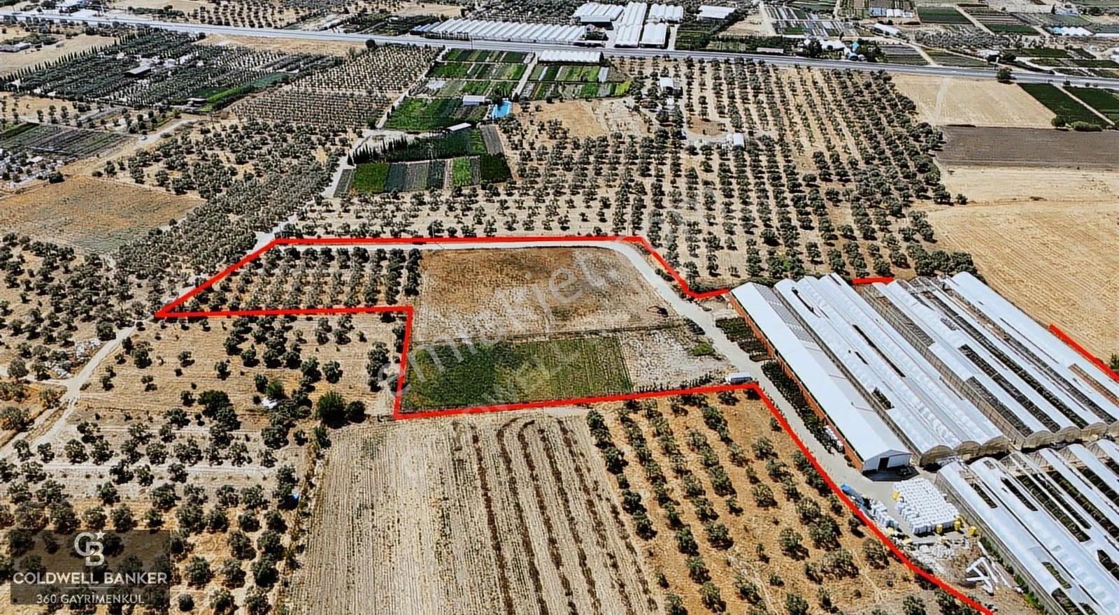 Bayındır'da Tam Donanımlı Modern Kiralık 18.500m² Sera - Görsel 17