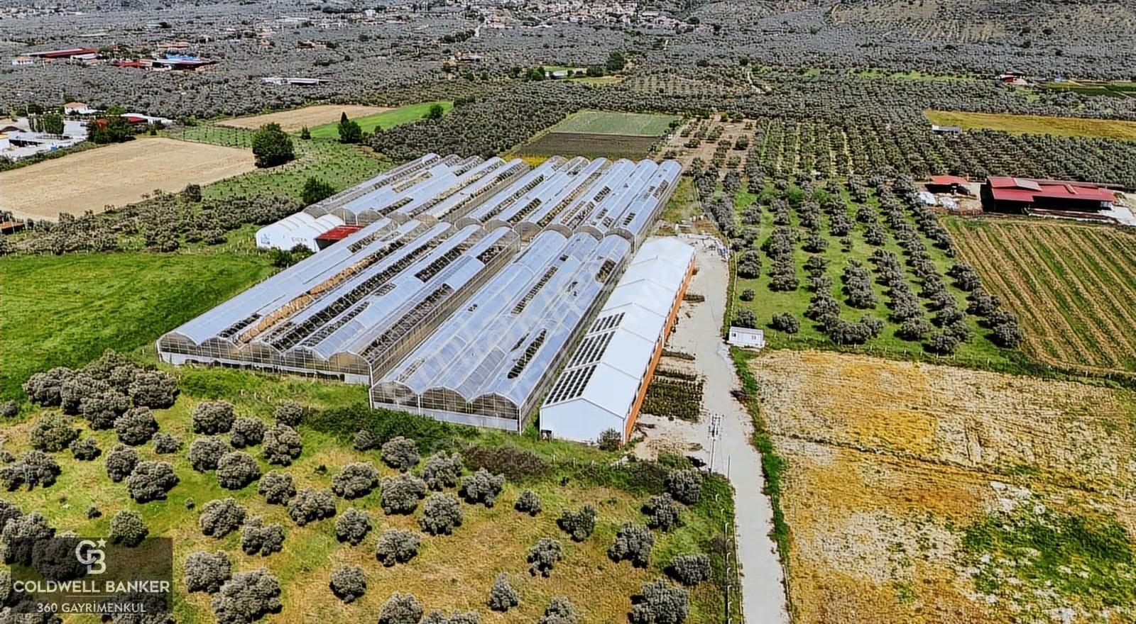 Bayındır'da Tam Donanımlı Modern Kiralık 18.500m² Sera - Görsel 2