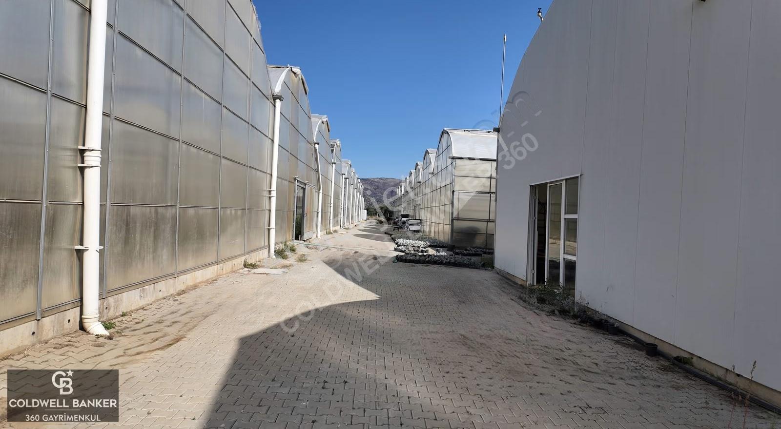 Bayındır'da Tam Donanımlı Modern Kiralık 18.500m² Sera - Görsel 11