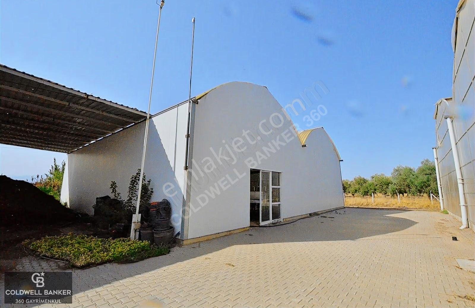 Bayındır'da Tam Donanımlı Modern Kiralık 18.500m² Sera - Görsel 23