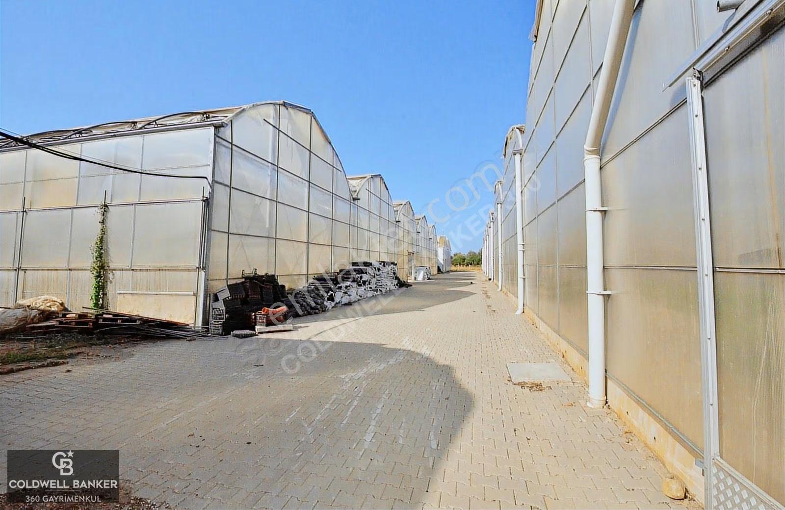 Bayındır'da Tam Donanımlı Modern Kiralık 18.500m² Sera - Görsel 14