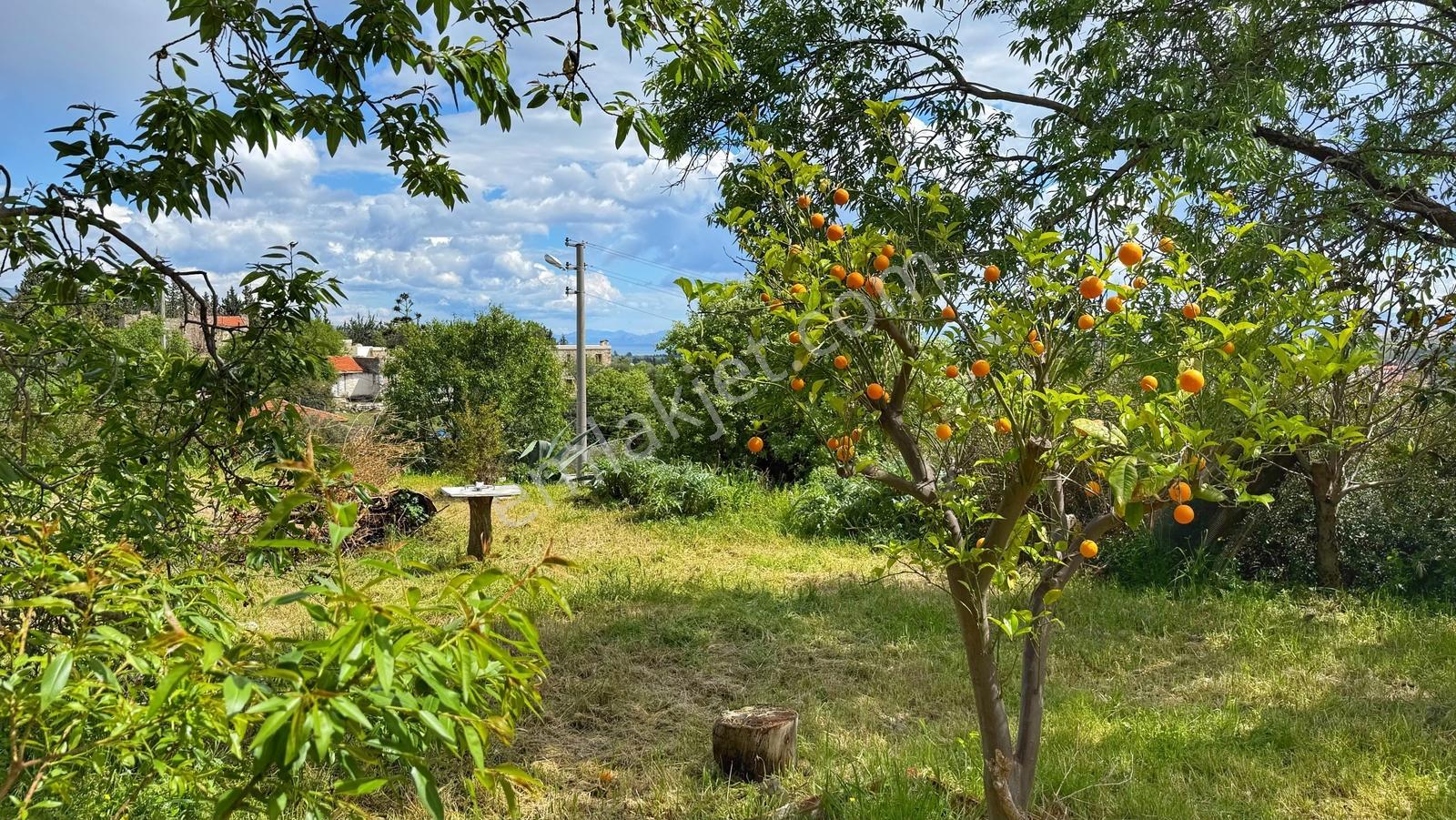 Datça Reşadiye | 1300m2 İçinde Deniz Manzaralı Taş Ev Ve Arsası - Görsel 20