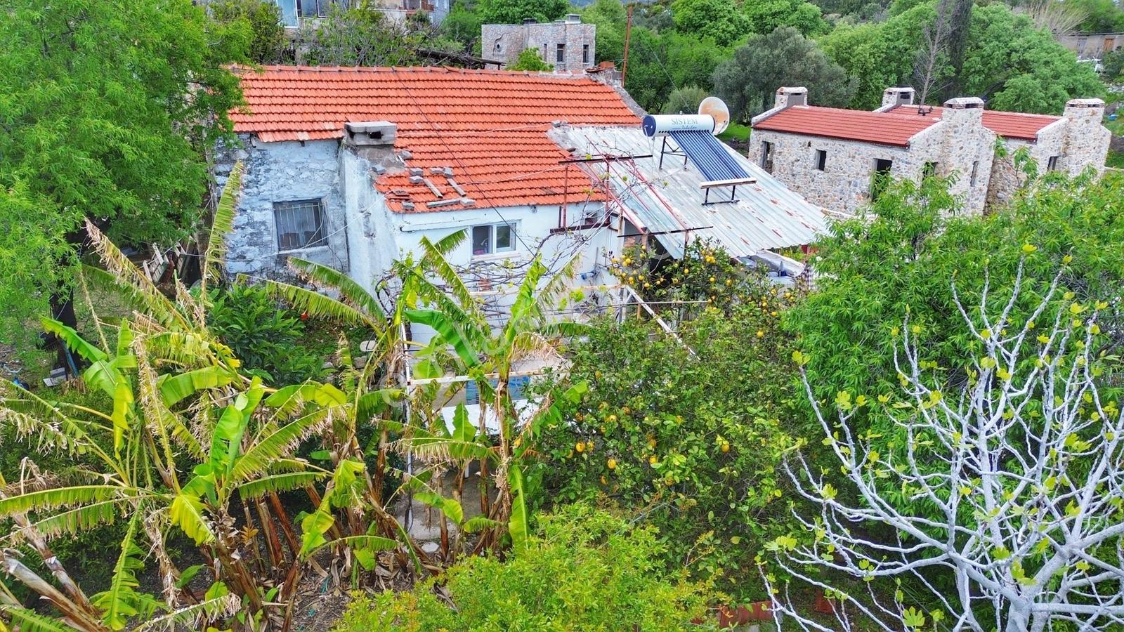Datça Reşadiye | 1300m2 İçinde Deniz Manzaralı Taş Ev Ve Arsası - Görsel 6
