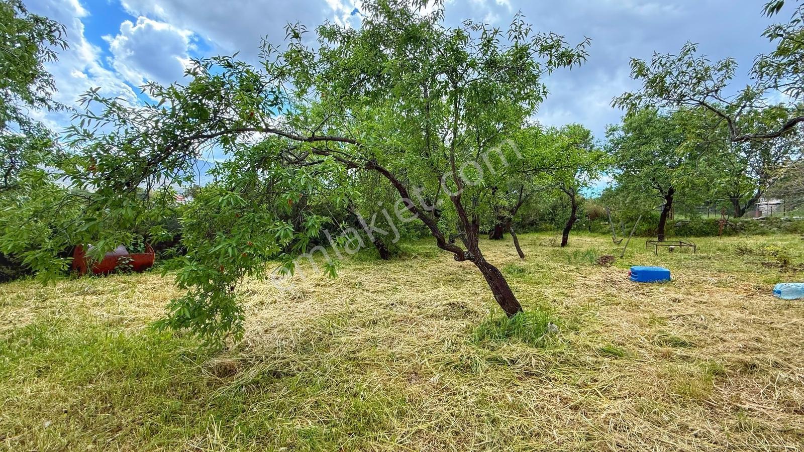 Datça Reşadiye | 1300m2 İçinde Deniz Manzaralı Taş Ev Ve Arsası - Görsel 30