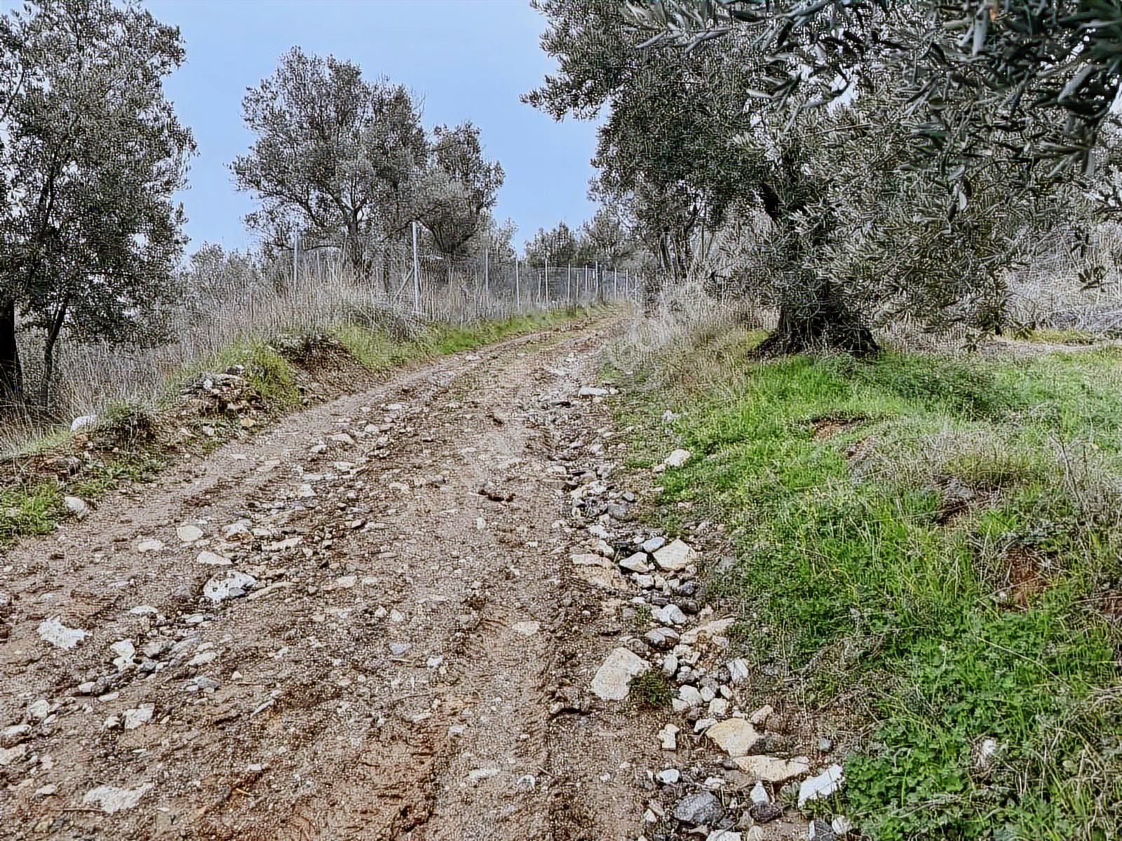 Mudanya Işıklı Mahallesinde Hobi Bahçesine Uygun Satılık Arazi - Görsel 15