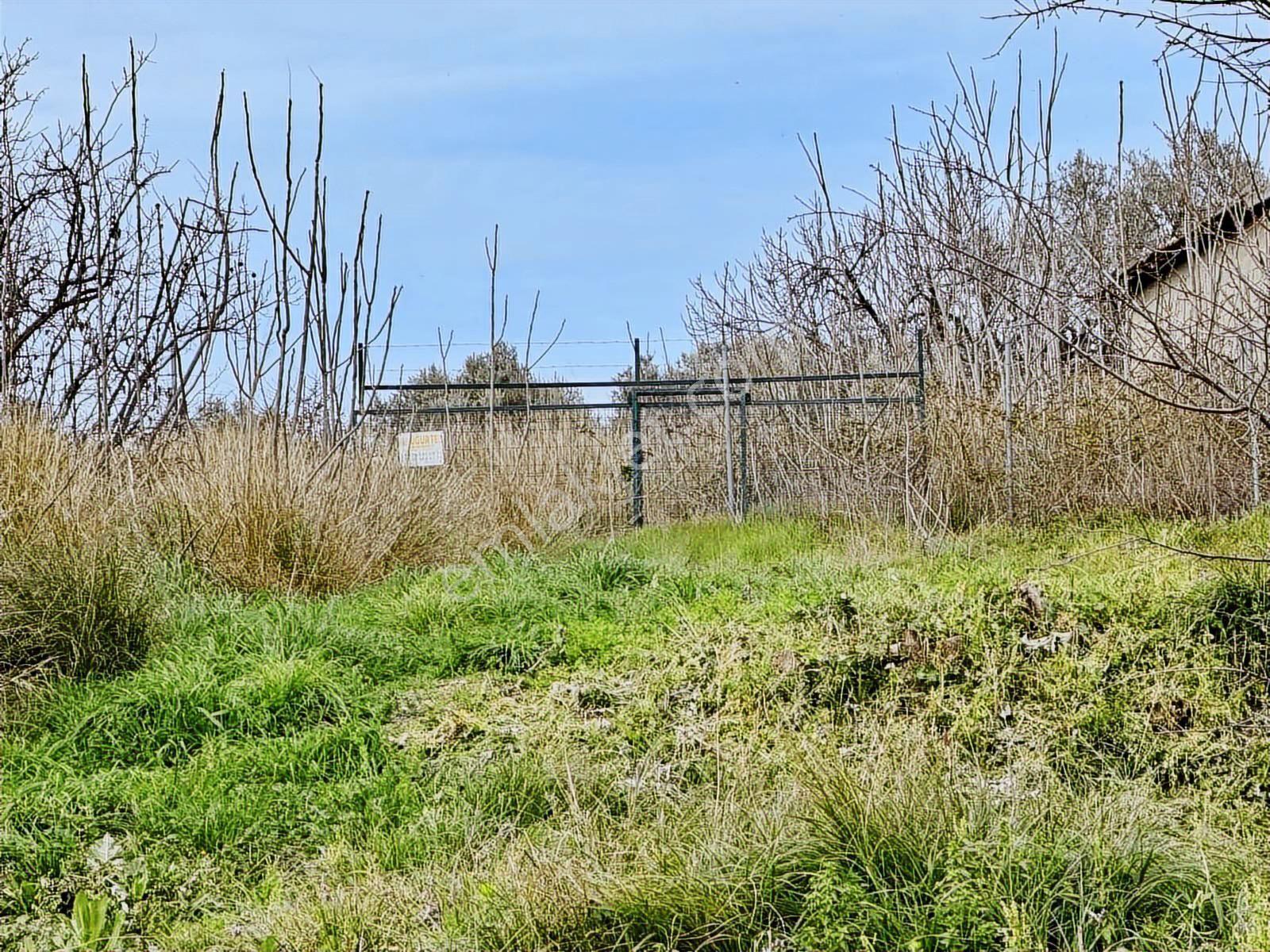 Mudanya Yalıçiftlik Merkezde 1100m2 Satılık Köy İçi Arsa - Görsel 22