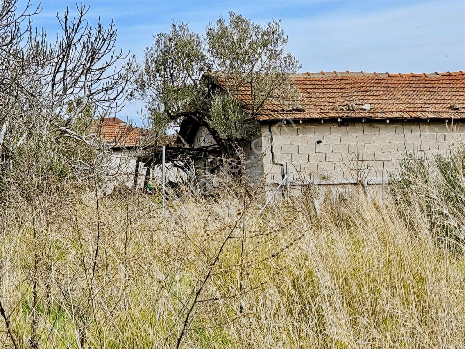 Mudanya Yalıçiftlik Merkezde 1100m2 Satılık Köy İçi Arsa - Görsel 25