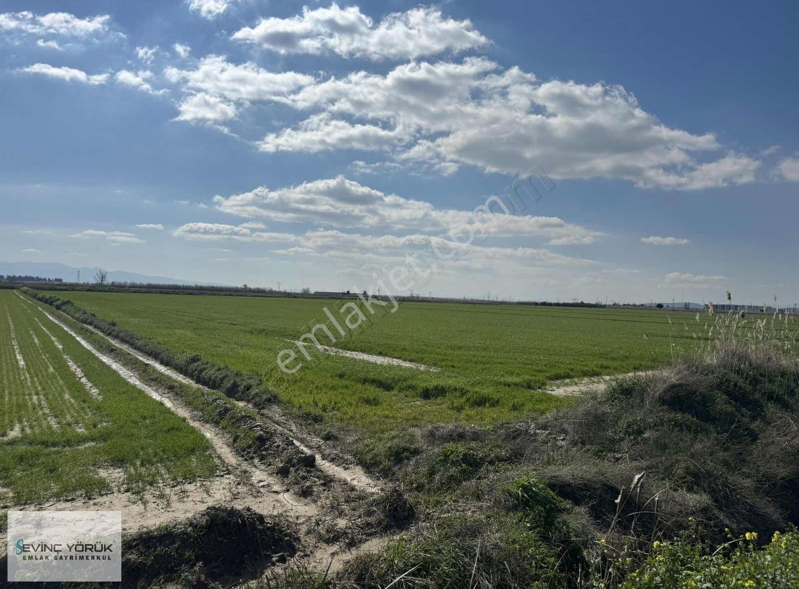 Menemen Maltepe Yolu Üzeri 11.965 M2 Dev Parsel - Görsel 13