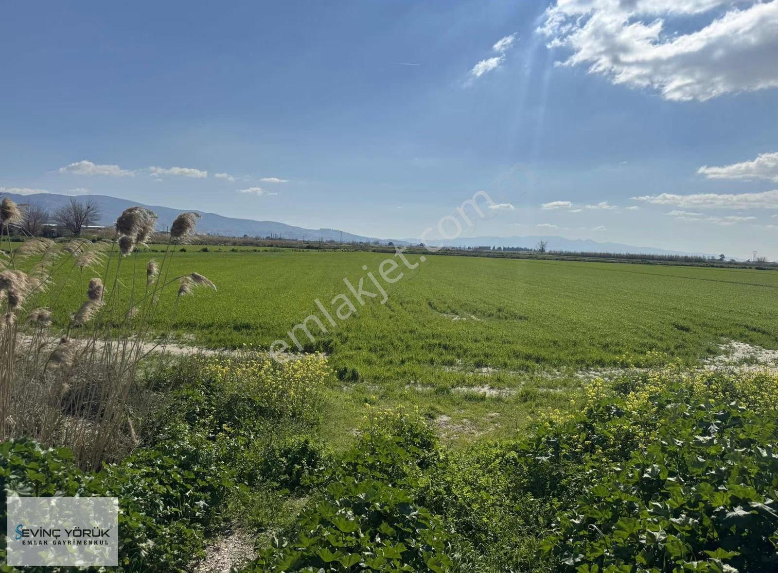 Menemen Maltepe Yolu Üzeri 11.965 M2 Dev Parsel - Görsel 12