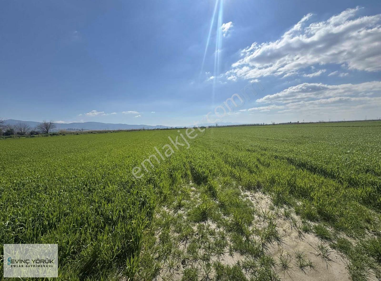 Menemen Maltepe Yolu Üzeri 11.965 M2 Dev Parsel - Görsel 14