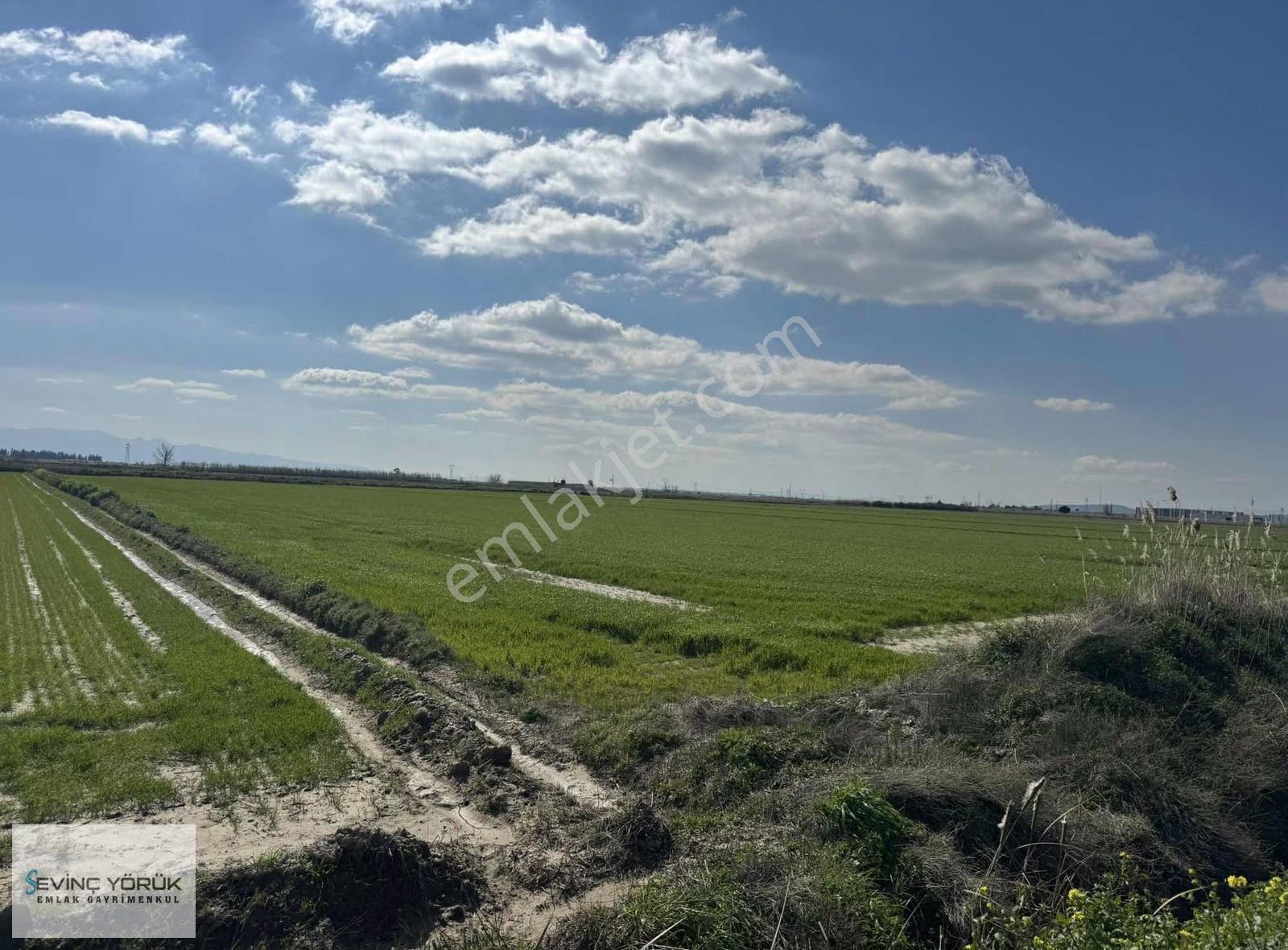 Menemen Maltepe Yolu Üzeri 11.965 M2 Dev Parsel