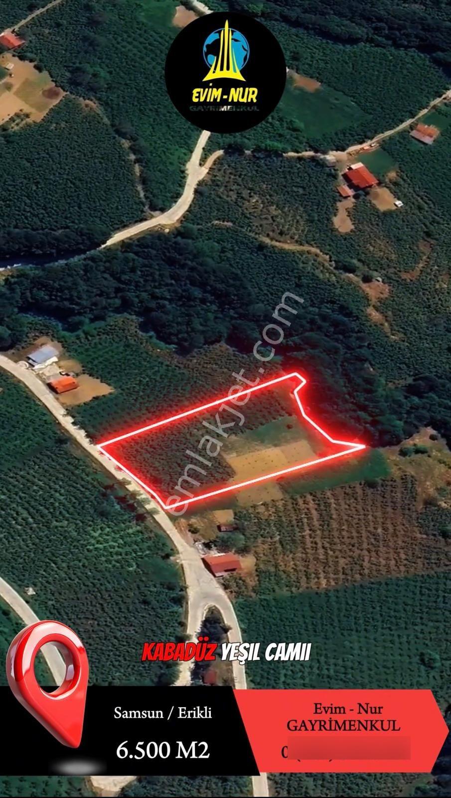 Evim-nur'dan Erikli Mah 6.500m2 Kupon Arsa - Görsel 2