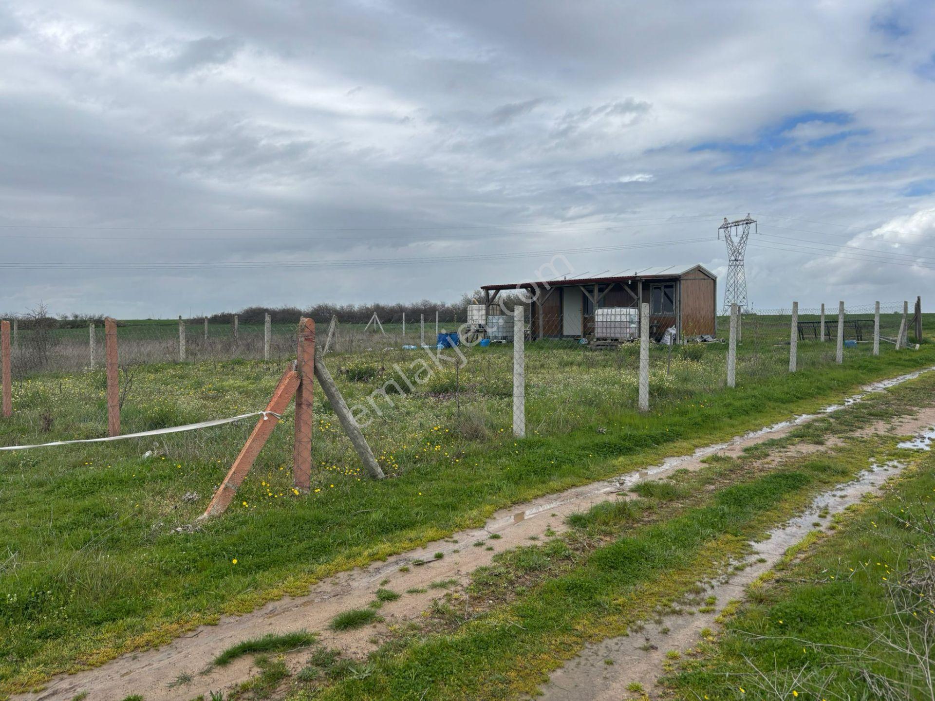Güven'den 500m² Tel İle Çevrili Prefabrik Hediyeli Fırsat Arazi - Görsel 5