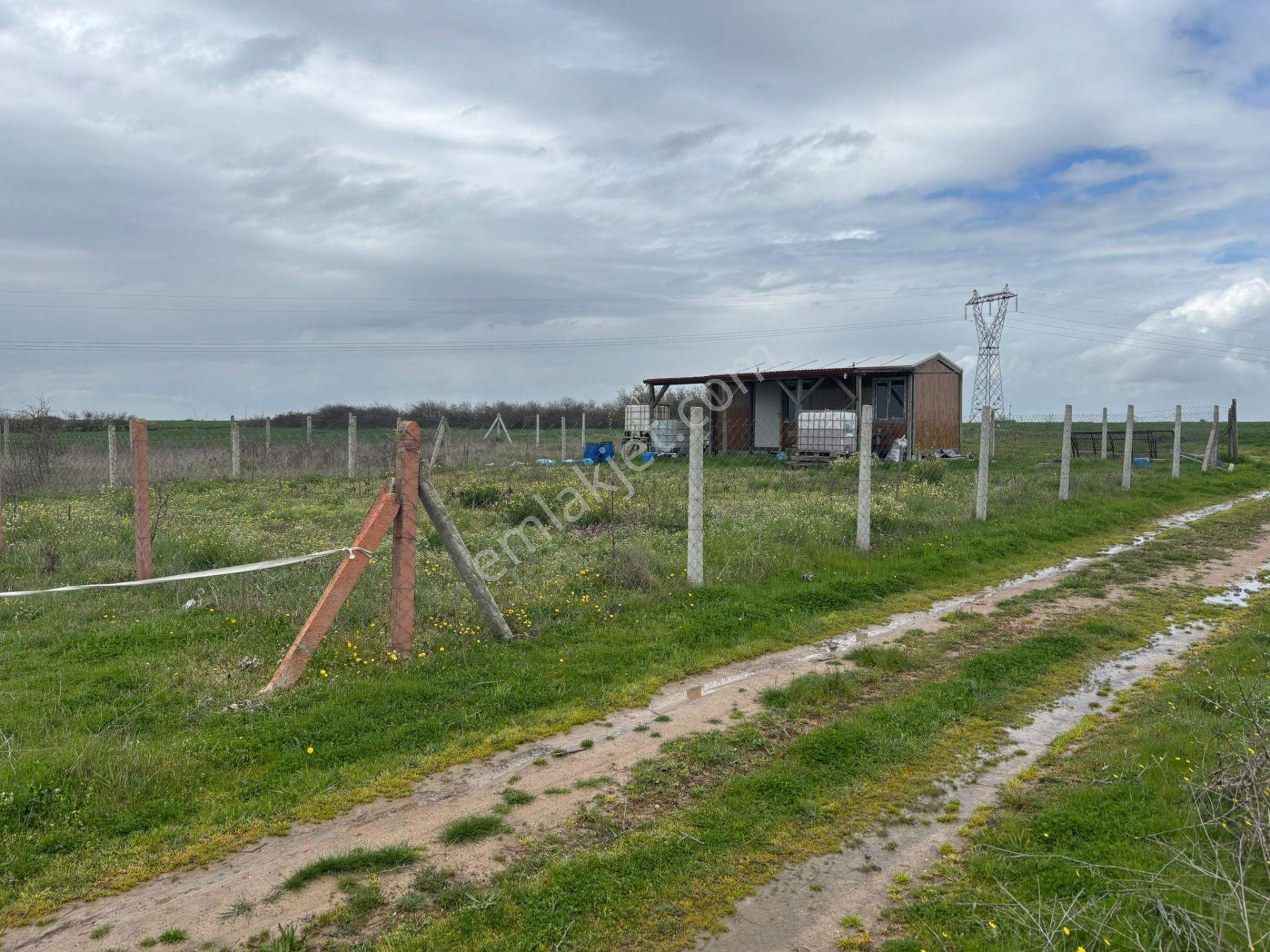 Güven'den 500m² Tel İle Çevrili Prefabrik Hediyeli Fırsat Arazi - Görsel 21