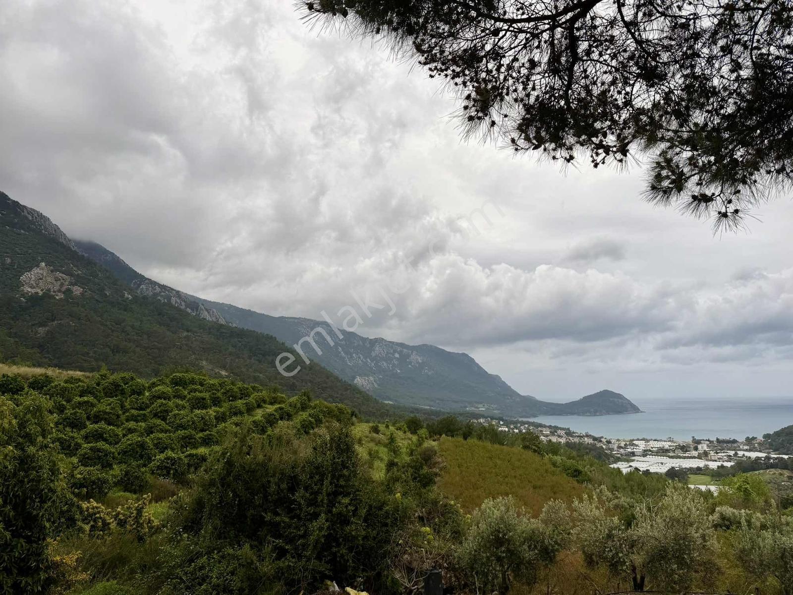 Karaözde Full Deniz Manzaralı 13.410 M² Satılık Arsa - Görsel 3