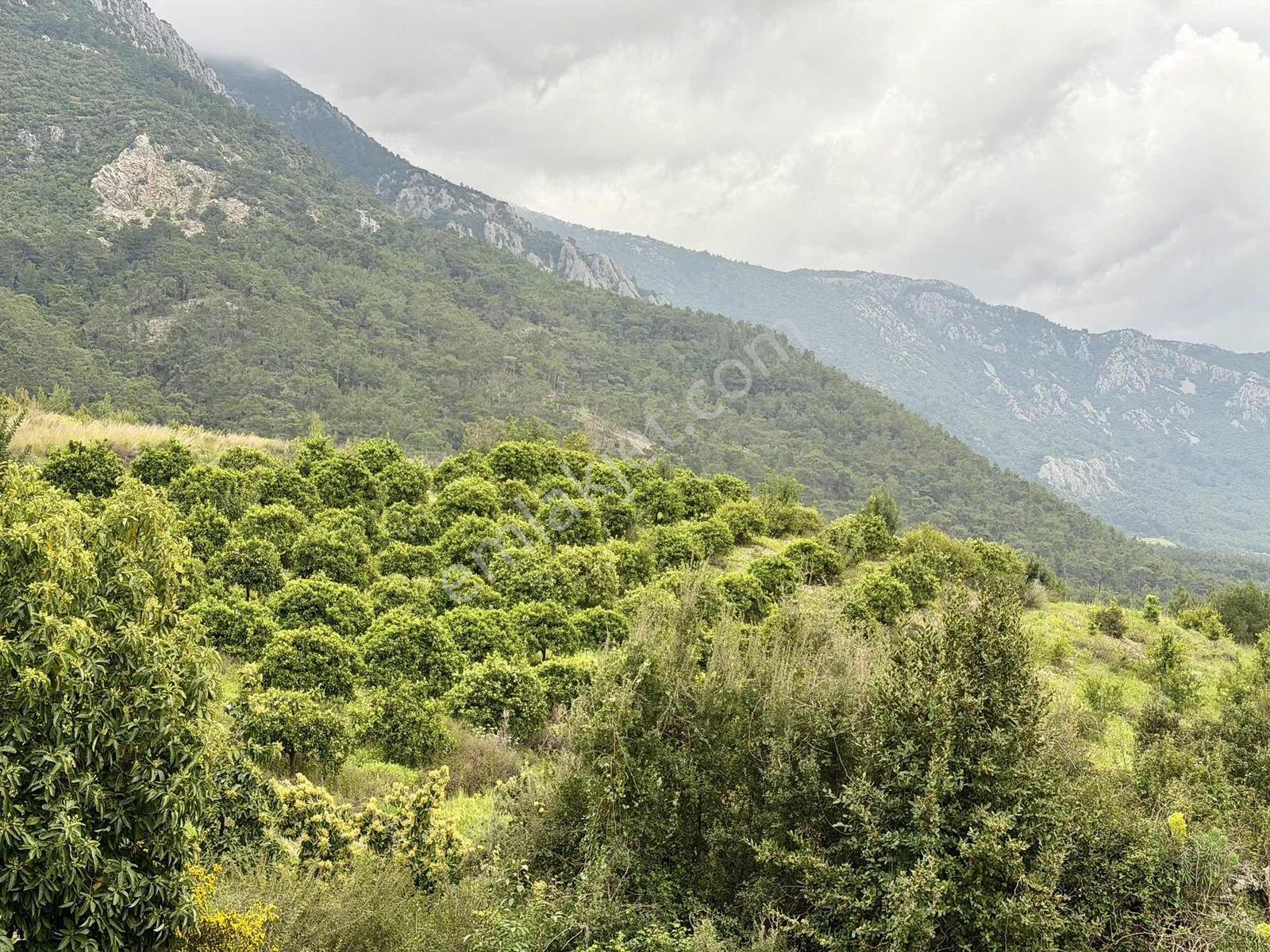 Karaözde Full Deniz Manzaralı 13.410 M² Satılık Arsa - Görsel 18