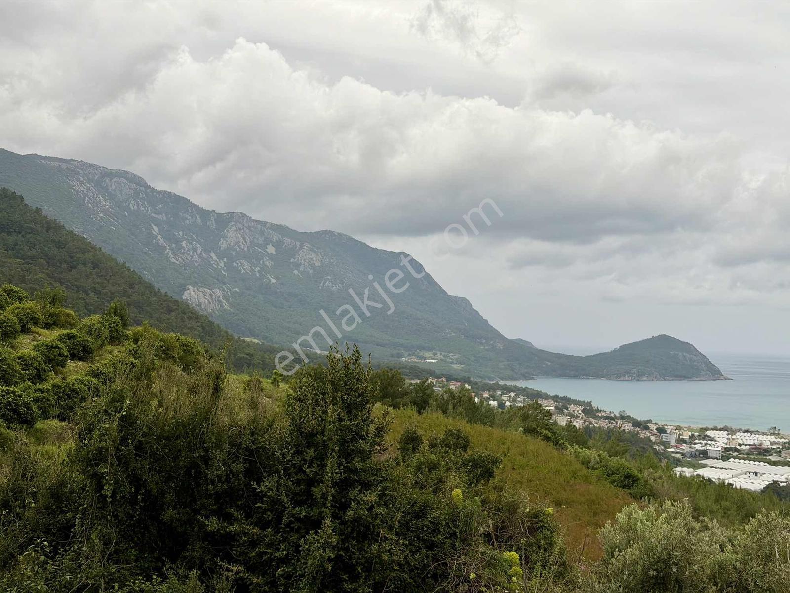 Karaözde Full Deniz Manzaralı 13.410 M² Satılık Arsa - Görsel 23