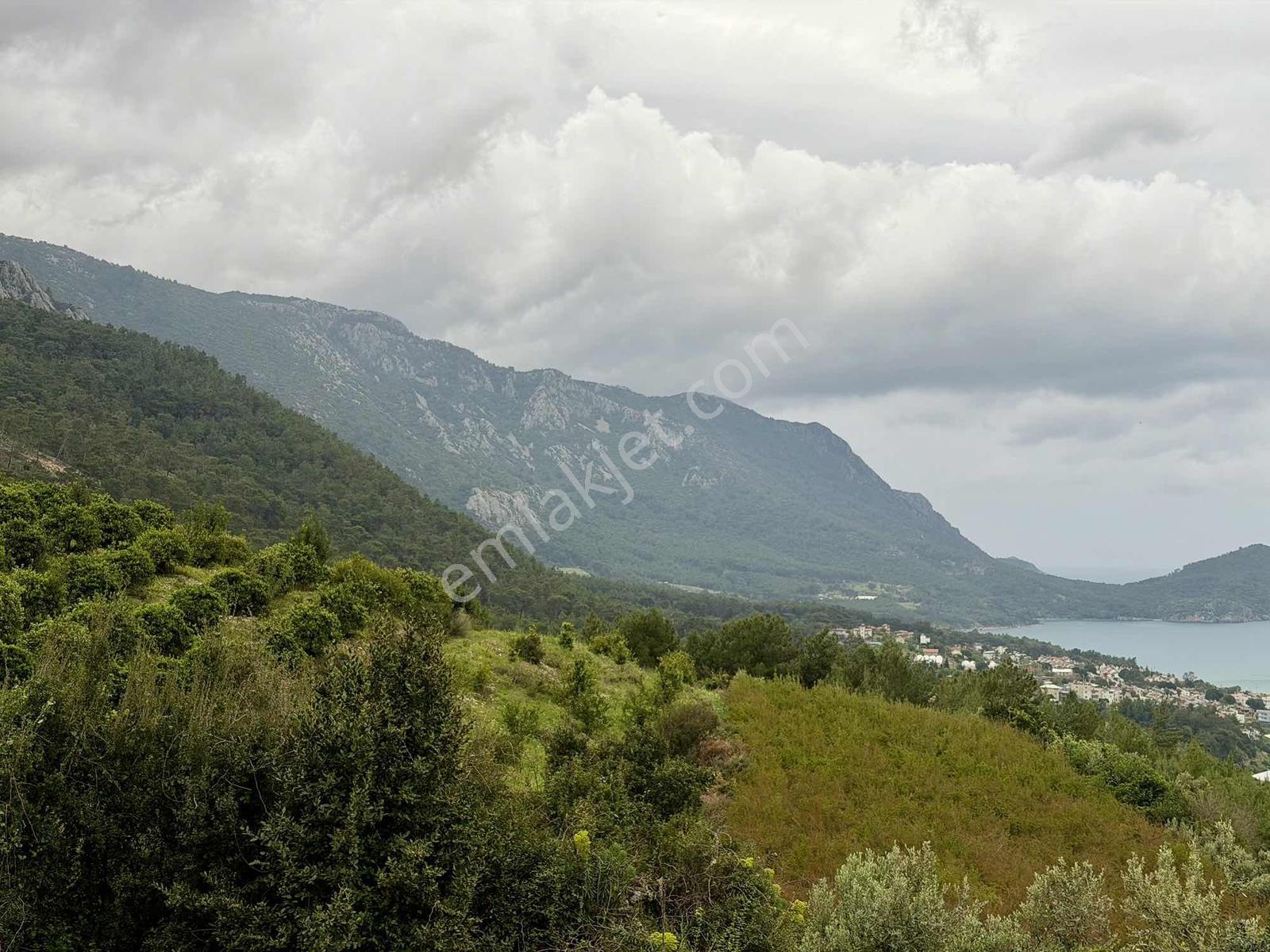 Karaözde Full Deniz Manzaralı 13.410 M² Satılık Arsa - Görsel 9