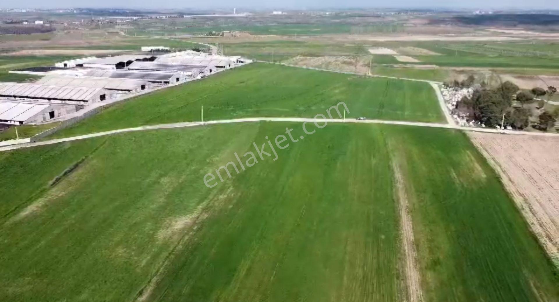 Lüleburgaz Ovacık Köyün'de 6.200 M2 Satılık - Görsel 15